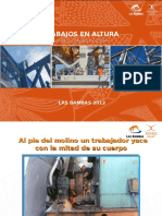 Trabajo de Altura