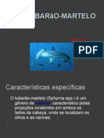 Tubarão-Martelo - PPTX