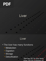 Liver Anatomy