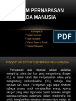 Sistem Pernapasan Pada Manusia