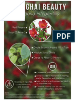 Jatropha Integerrima (Shanghai Beauty) Infographic