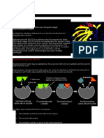 IGCSE Enzymes notes - (from xtremepapers.com)