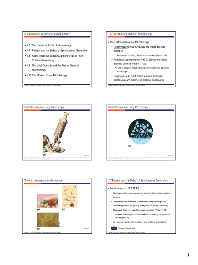 Chapter 1: history of microbiology picture