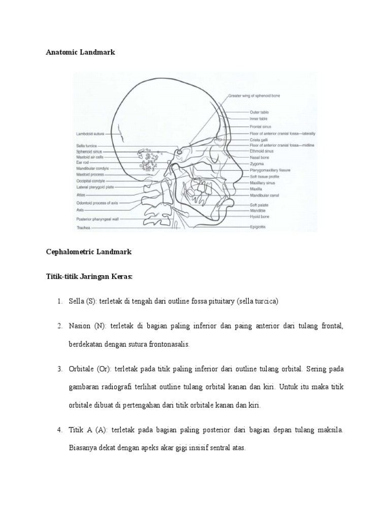 Anatomic Landmark PDF