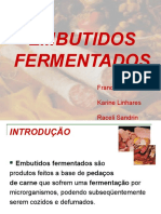 20144050-embutidos-fermentados