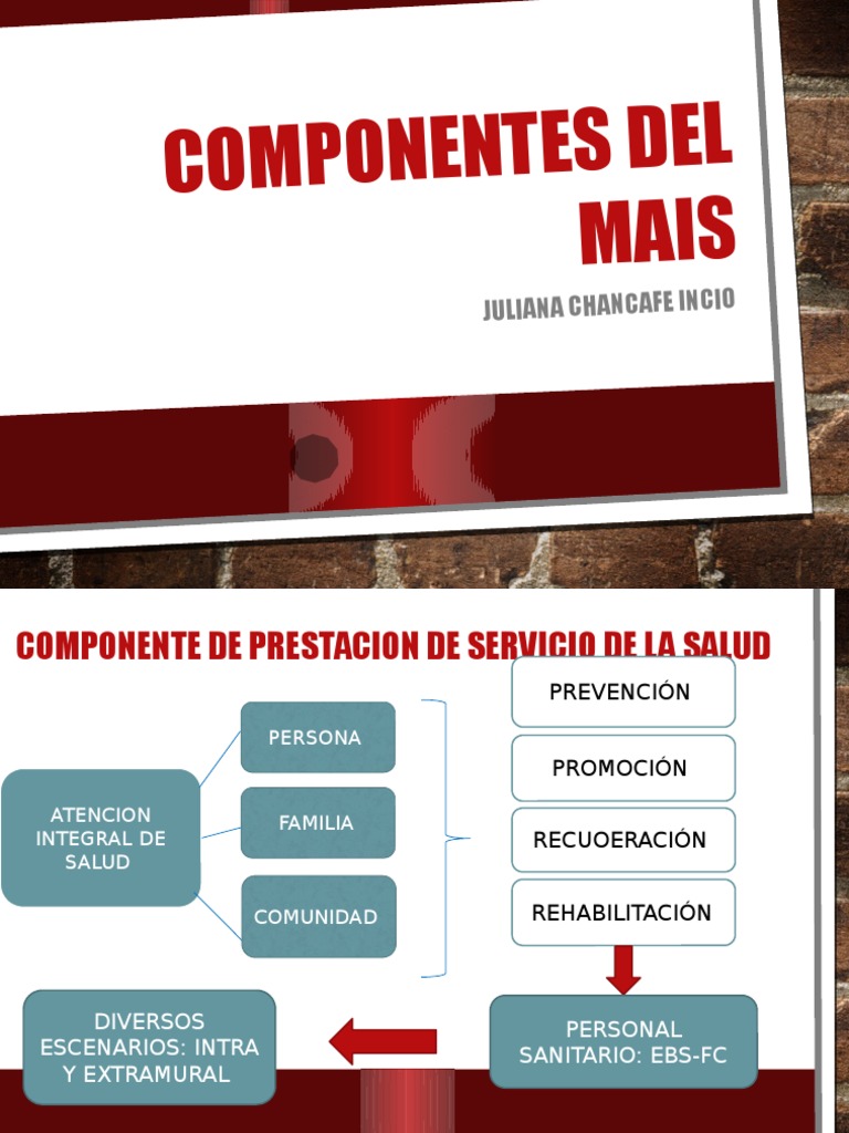 Componentes Del Mais | PDF