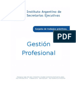 Gestión Profesional 2016