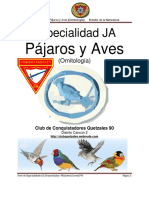 Especialidad Ja-Ornitología (Pájaros y Aves I) Desarrollada