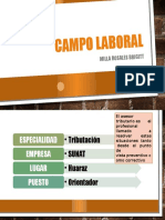 CAMPO LABORAL.pptx