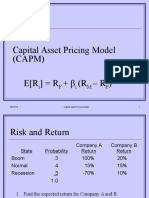 Capital Asset Pricing Model