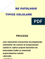 Procese Patologice Tipice Celulare