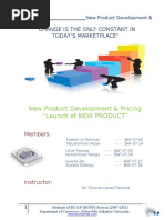 23512347 New Product Development Report