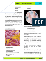 Bacilos Gram Negativo y Bacterias Especiales PDF