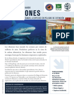tiburones1.pdf