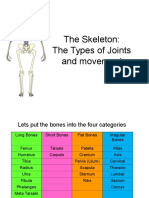Joints Movement Powerpoint