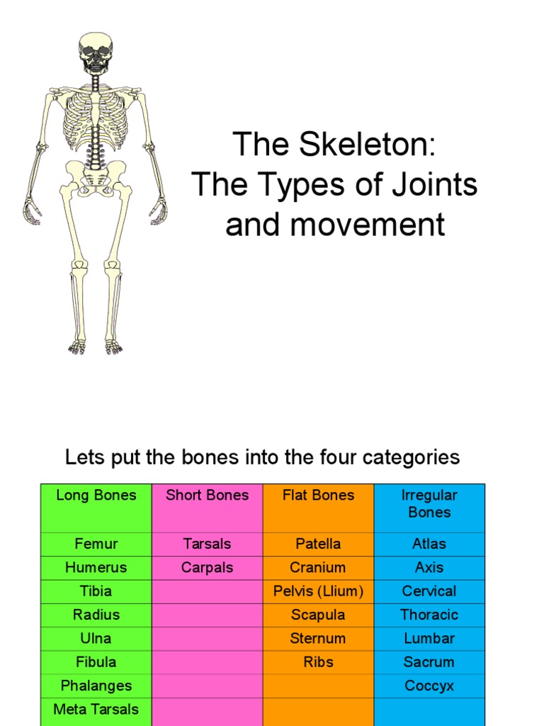 Types and Movements of Joints | PDF | Anatomical Terms Of Motion ...