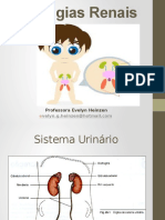 Patologias Renais: Funções, Exames e Tratamentos