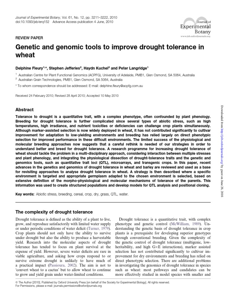 Enhancing Wheat Drought Tolerance Genomics | PDF | Plant Breeding ...