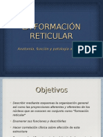 05 - Formación Reticular