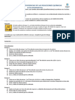 GUIA_EXPERIMENTAL_-_MANIFESTACIONES_O_EVIDENCIAS_DE_LAS_REACCIONES_QUIMICAS.pdf