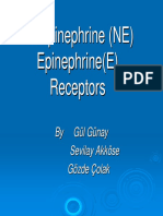 NE and E Receptors and Their Effects