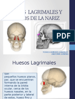 Lagrimales y Huesos Propios de La Nariz - Yessica Armenta Gonzalez