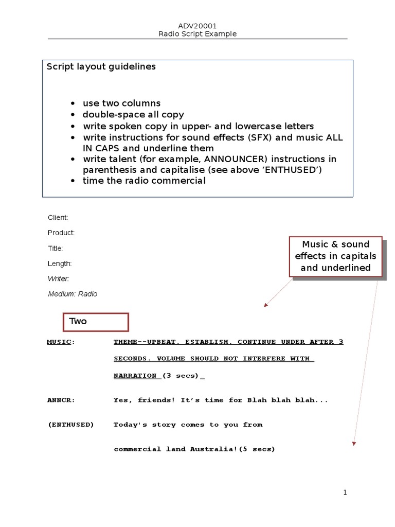 Example Radio Script PDF