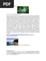 Efectos Ambientales Turismo