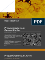 Propionibacterium