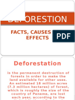 Deforestion: Facts, Causes and Effects