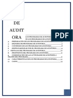 Programas de Auditoria