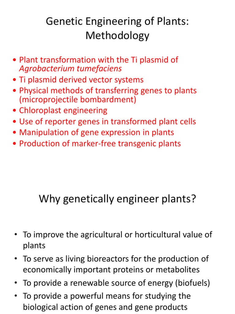 Tanaman Dan Hewan Transgenik Genetically Modified Organism