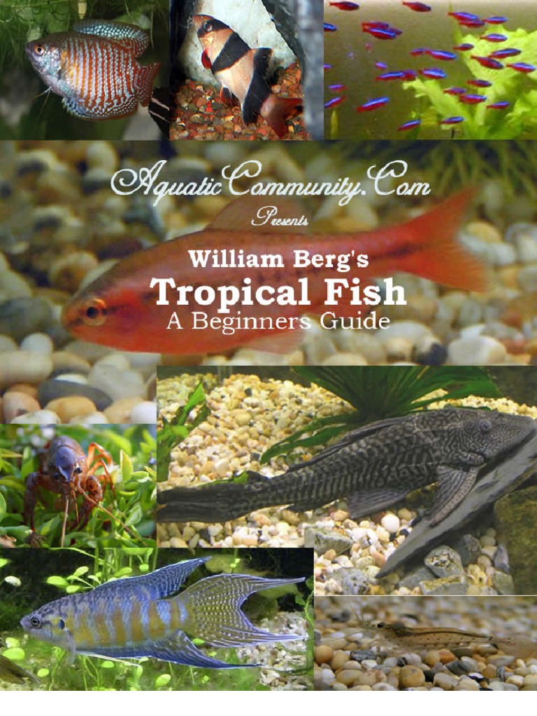Tropical Fish a Beginners Guide by William Berg Aquarium Nature
