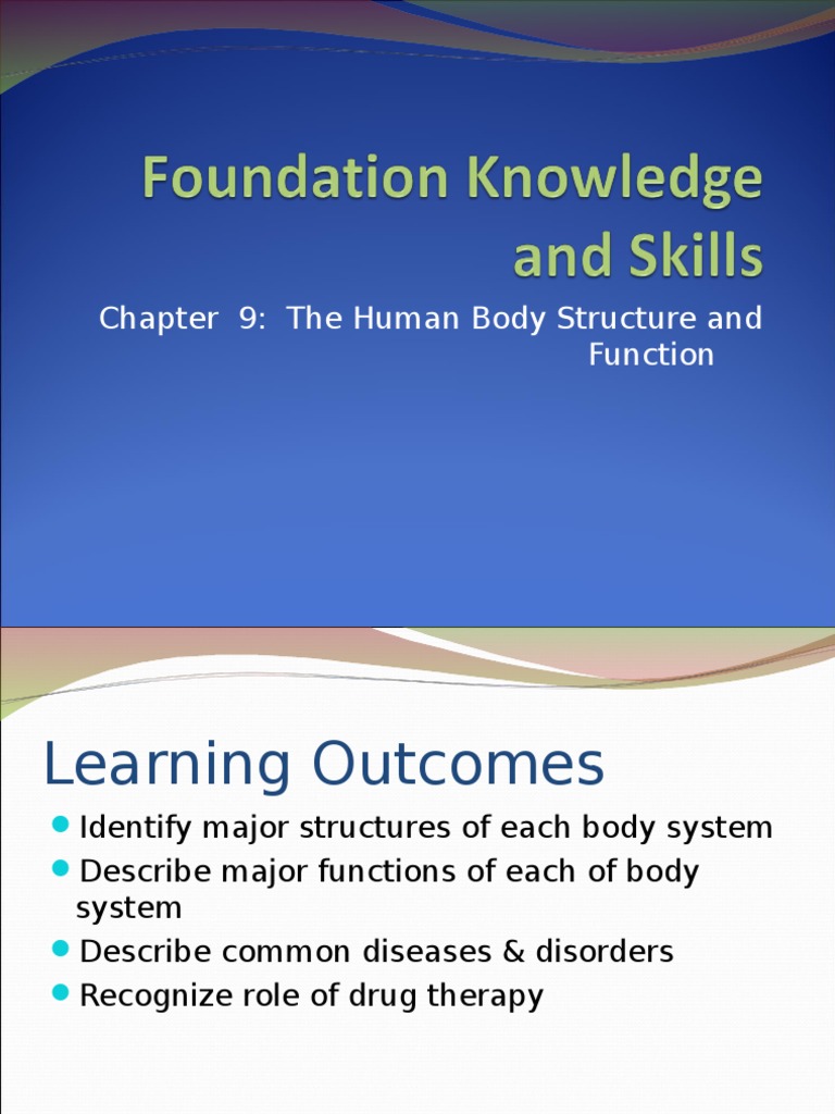Human Body Structure and Function Overview | PDF