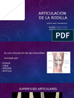 Articulación de La Rodilla