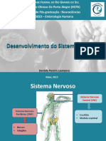 embriologia_do_sistema_nervoso.pdf