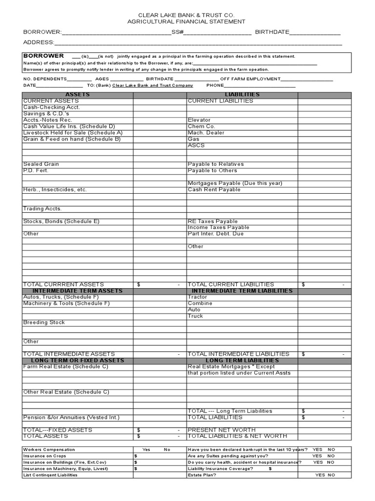 Agricultural Financial Statement Template | PDF | Bonds (Finance) | Farms
