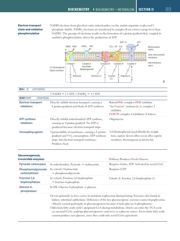 Biochemistry ' Section Ii: Electron Transport Chain and Oxidative ...