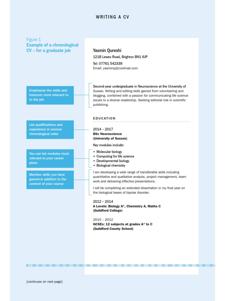 Chronological essay outline picture