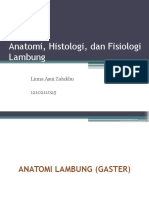 Anatomi Dan Fisiologi Lambung (Linna 025)