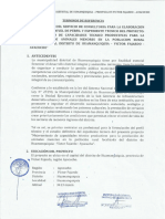 TDR Huamanquiquia PDF