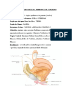 Anatomia Sist Reprodutor.doc