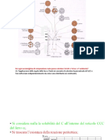 Esercitazione Fe-C PDF