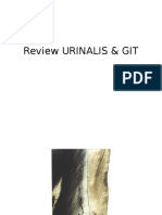 Review Urinalis & Git