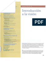 T_3_Introduccion_Vision_Goldstein_8_ed.pdf