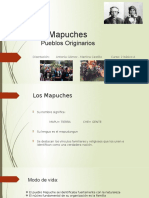 Mapuches Materia