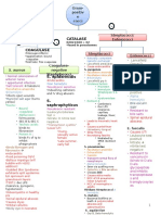 Bacteria Charts - Comprehensive