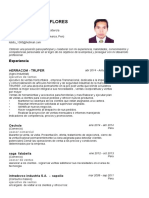 CV Petter Edisson Flores Morales