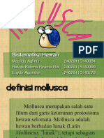 Mollusca Kel.3