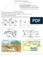 Evaluacion de Ecosistemas y Ciclos Biogeoquímicos